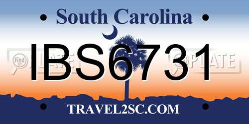 IBS6731 South Carolina License Plate