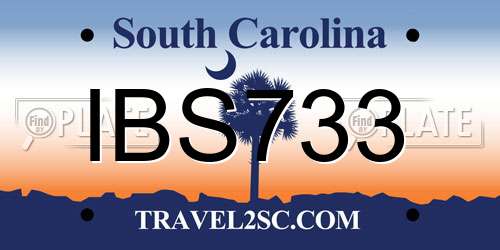 IBS733 South Carolina License Plate