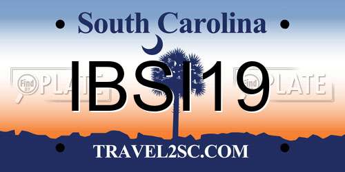 IBSI19 South Carolina License Plate