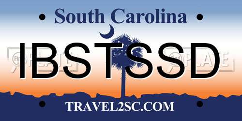IBSTSSD South Carolina License Plate