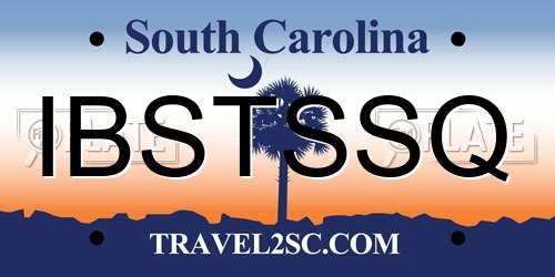 IBSTSSQ South Carolina License Plate