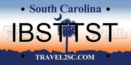 IBSTTST South Carolina License Plate