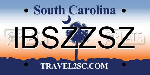 IBSZZSZ South Carolina License Plate