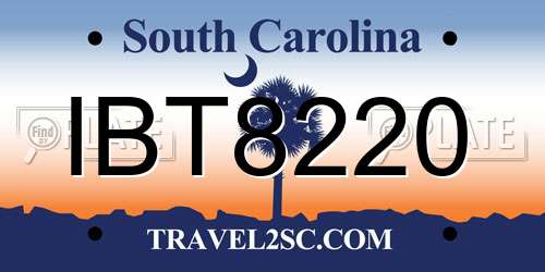 IBT8220 South Carolina License Plate