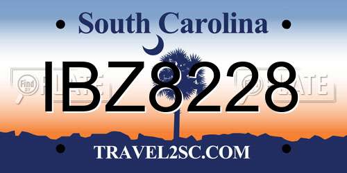 IBZ8228 South Carolina License Plate