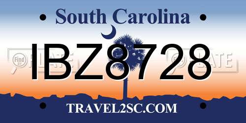 IBZ8728 South Carolina License Plate
