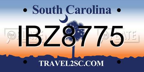 IBZ8775 South Carolina License Plate