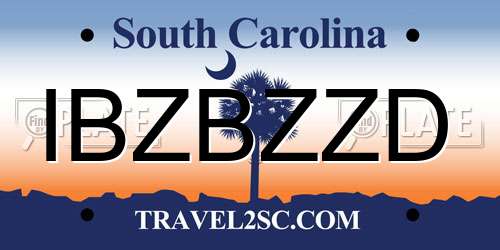 IBZBZZD South Carolina License Plate
