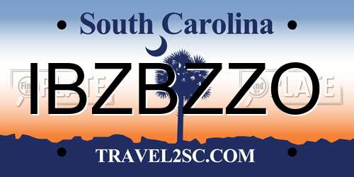 IBZBZZO South Carolina License Plate