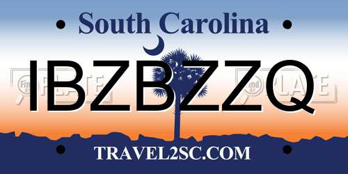 IBZBZZQ South Carolina License Plate