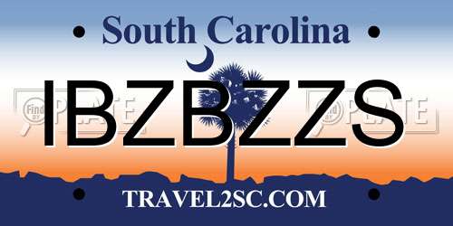 IBZBZZS South Carolina License Plate