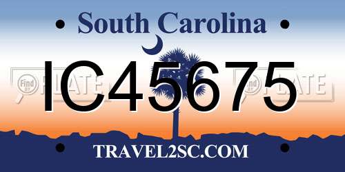 IC45675 South Carolina License Plate