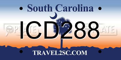 ICD288 South Carolina License Plate