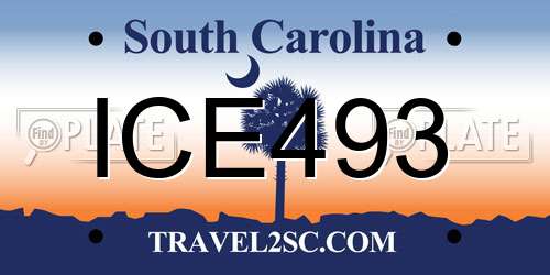 ICE493 South Carolina License Plate