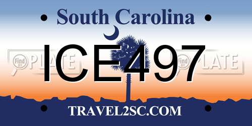 ICE497 South Carolina License Plate
