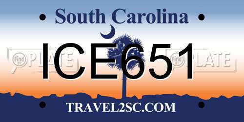 ICE651 South Carolina License Plate