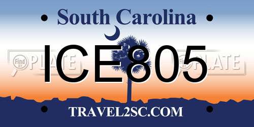 ICE805 South Carolina License Plate
