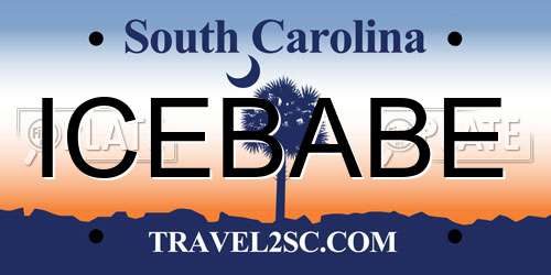 ICEBABE South Carolina License Plate