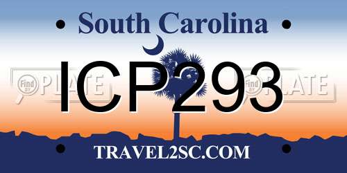 ICP293 South Carolina License Plate