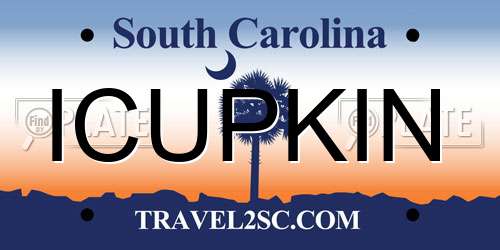 ICUPKIN South Carolina License Plate