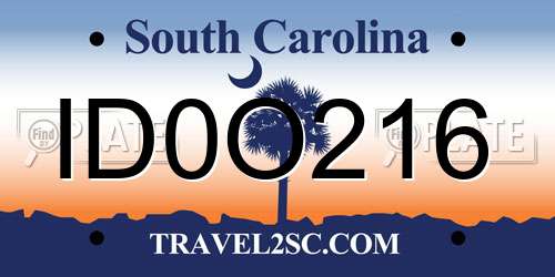 ID0O216 South Carolina License Plate