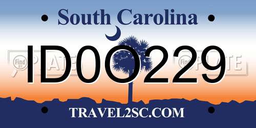 ID0O229 South Carolina License Plate