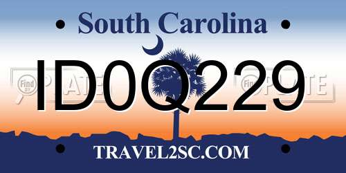 ID0Q229 South Carolina License Plate