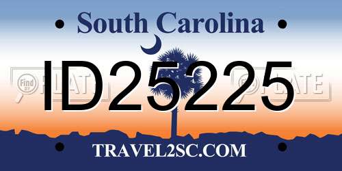 ID25225 South Carolina License Plate