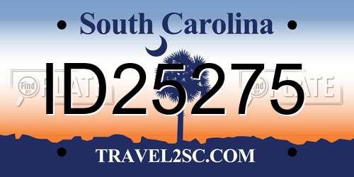 ID25275 South Carolina License Plate
