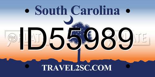 ID55989 South Carolina License Plate