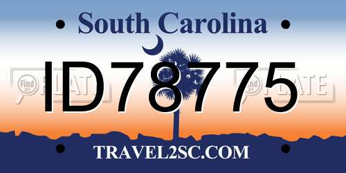 ID78775 South Carolina License Plate