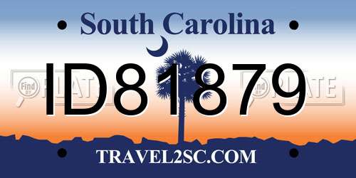 ID81879 South Carolina License Plate
