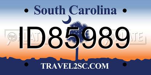 ID85989 South Carolina License Plate