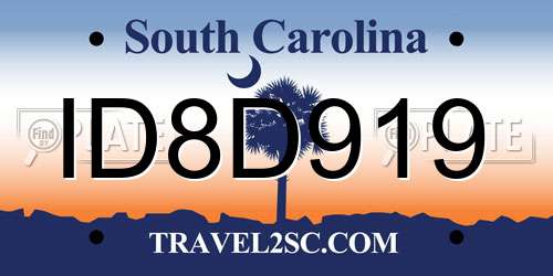 ID8D919 South Carolina License Plate