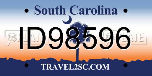ID98596 South Carolina License Plate