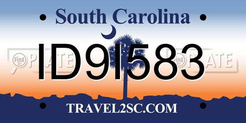 ID9I583 South Carolina License Plate