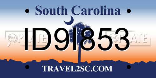 ID9I853 South Carolina License Plate