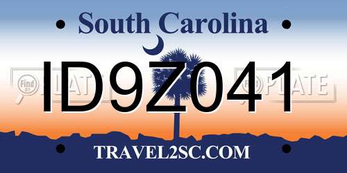 ID9Z041 South Carolina License Plate