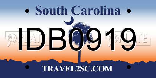 IDB0919 South Carolina License Plate