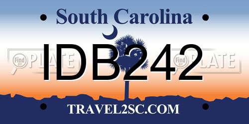 IDB242 South Carolina License Plate