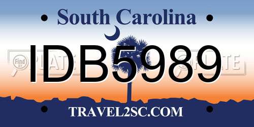 IDB5989 South Carolina License Plate