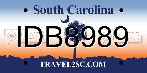 IDB8989 South Carolina License Plate