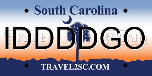 IDDDDGO South Carolina License Plate