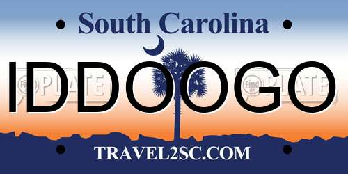 IDDOOGO South Carolina License Plate