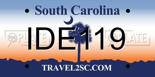 IDE119 South Carolina License Plate