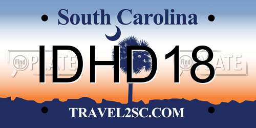 IDHD18 South Carolina License Plate