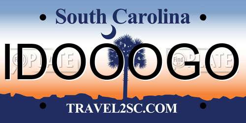 IDOOOGO South Carolina License Plate