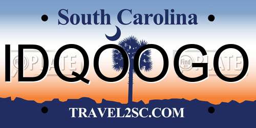 IDQOOGO South Carolina License Plate