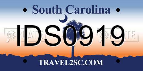 IDS0919 South Carolina License Plate