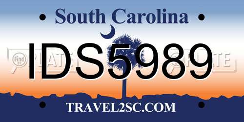 IDS5989 South Carolina License Plate